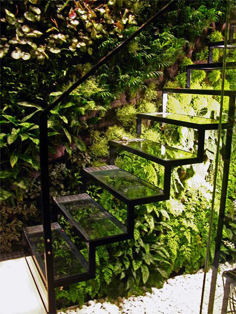 Transparent stairs greenhouse…