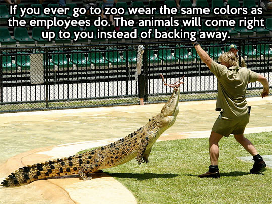 cool-zoo-same-clothes-employees