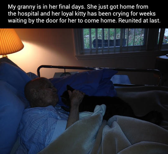 My granny in her final days…