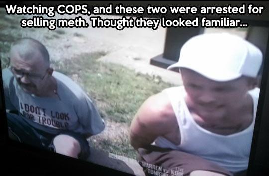 funny-Breaking-Bad-arrested-guys