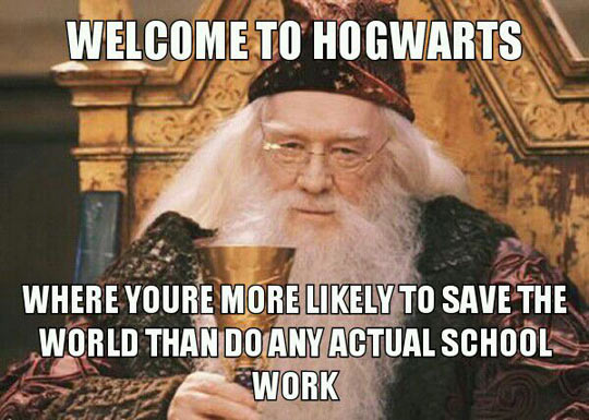 Harry Potter in a nutshell…