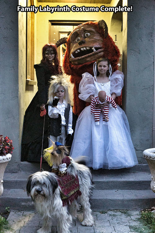 funny-Labyrinth-costume-family