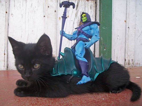 funny-Skeletor-Panthor-cat-HeMan