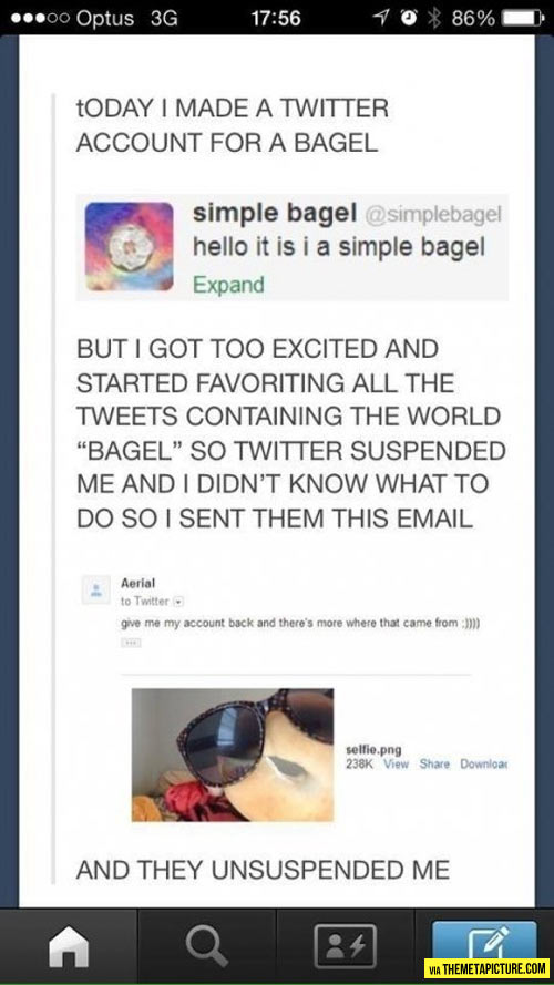 funny-Twitter-bagel-account-suspended