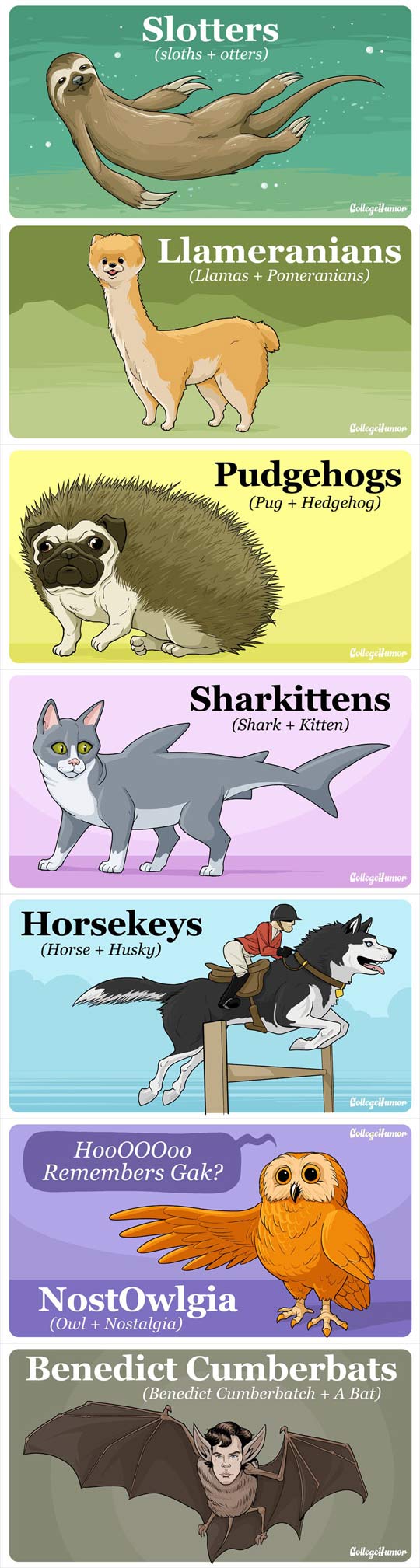 Animal hybrids that would break the internet if they existed…