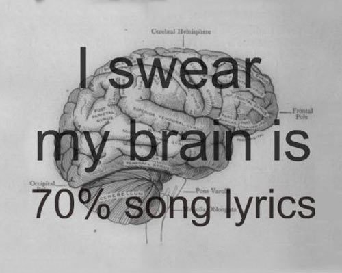 What my brain is mostly made of…