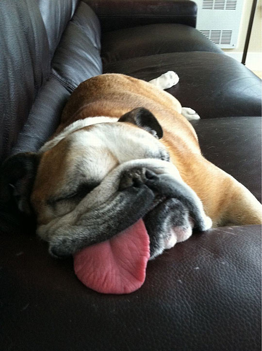 This is what a nap should look like…