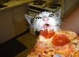 PIZZZAAAAAA!