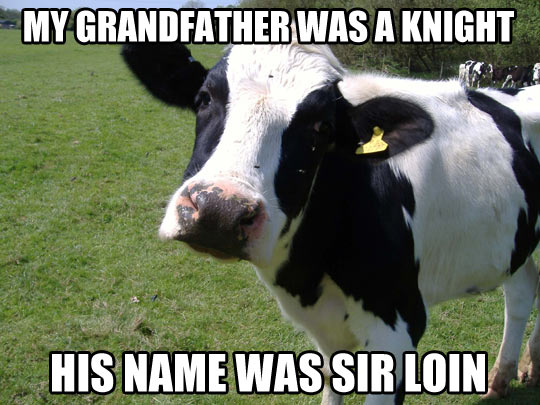 funny-cow-grandfather-Sir-Loin