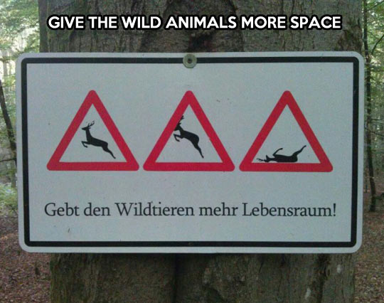 Wild animals need more space…