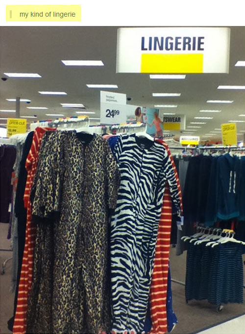 funny-department-store-clothes-zebra