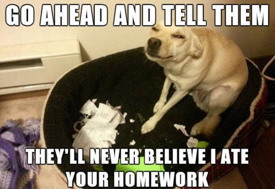 funny-dog-ate-homework-happy