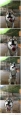 Free Window Cleaning Service