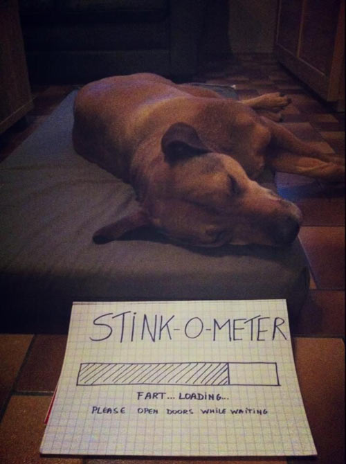 Stink-o-meter…
