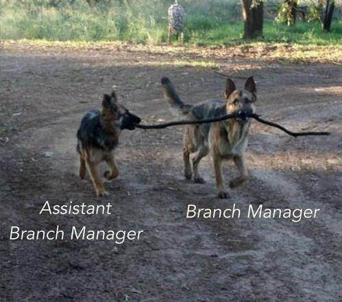 Branch manager…
