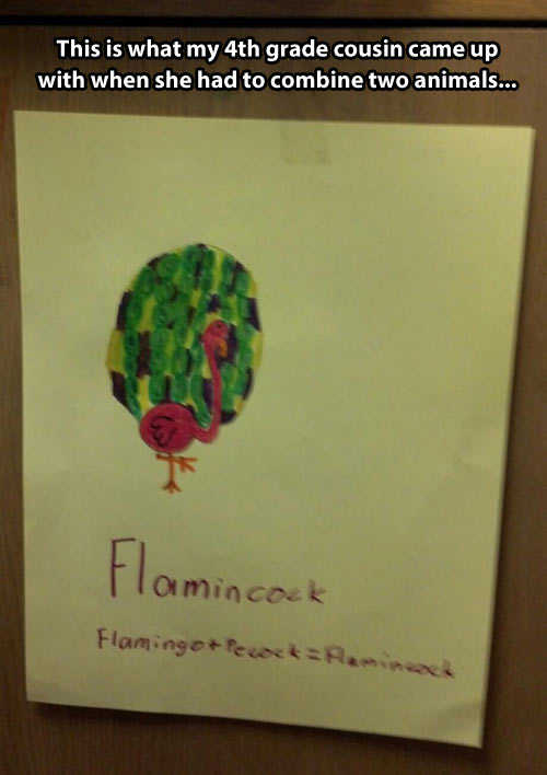 funny-flamingo-peacock-kid-drawing-hybrid