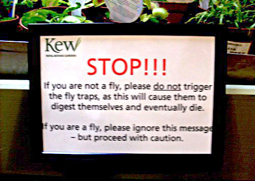 funny-fly-traps-sign