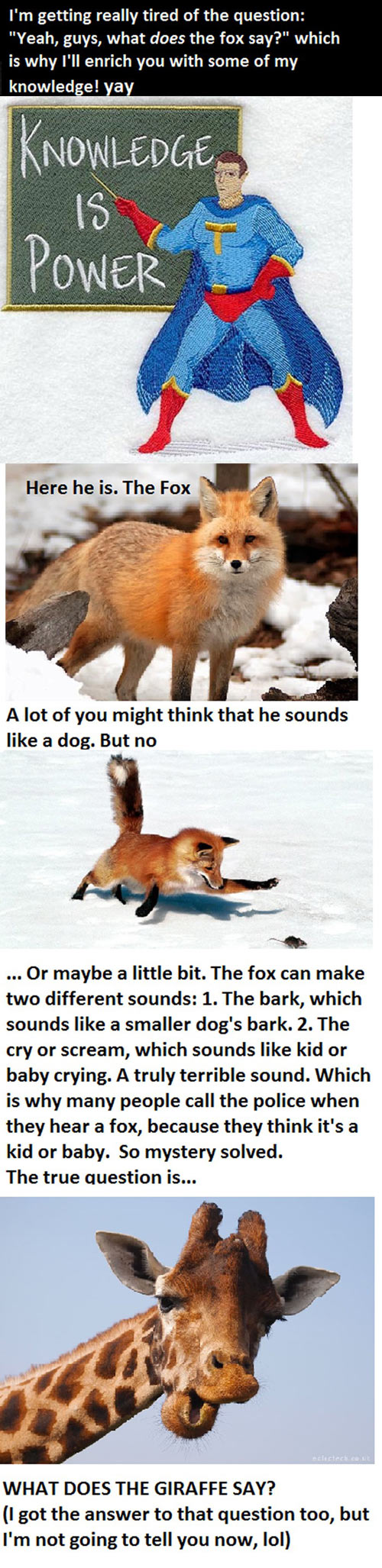 What the fox really says…