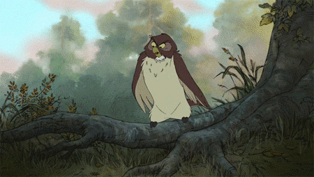 funny-gif-owl-Disney-facepalm