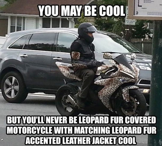 You’ll never be leather leopard jacket cool…