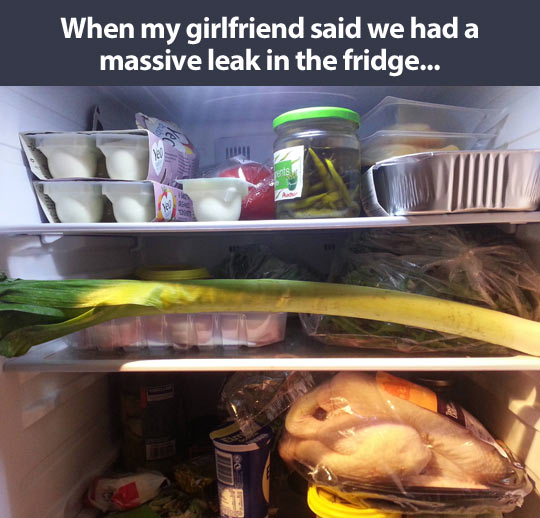 funny-massive-leak-fridge