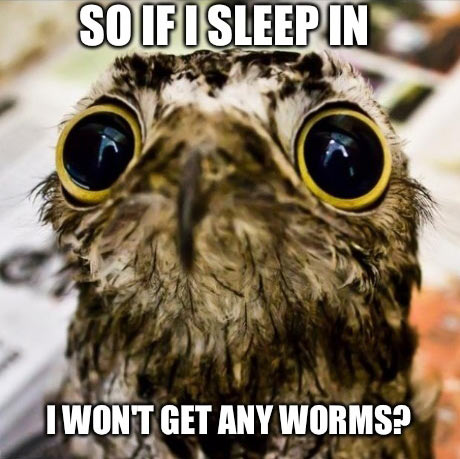 funny-owl-sleep-worms-sad-baby