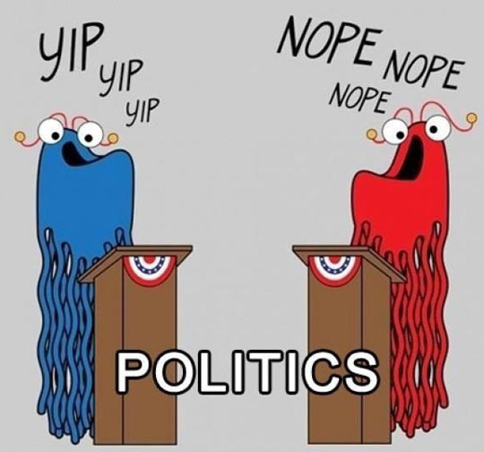 The truth about politics…