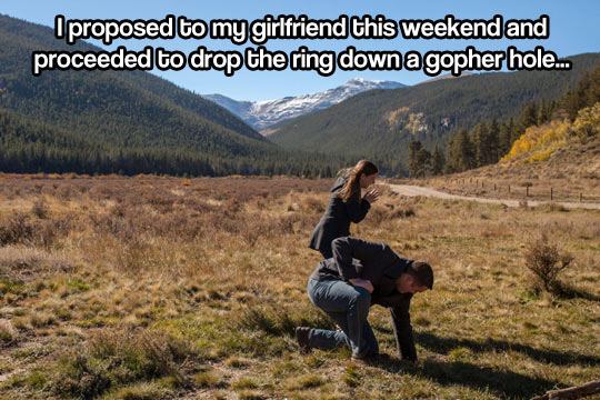 Not the best way to end your marriage proposal…
