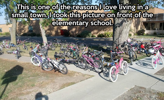 funny-security-bikes-elementary-school