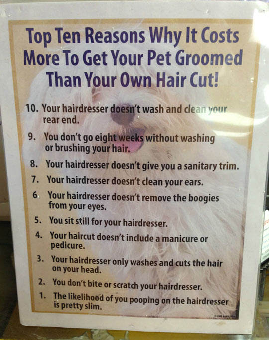 Why taking your dog to the groomer is expensive…