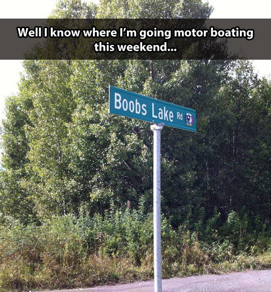 funny-sign-forest-breasts-lake