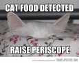 Food Detected…