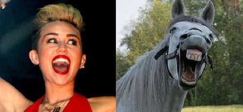 Horses VS Miley Cyrus  Nailed it 12