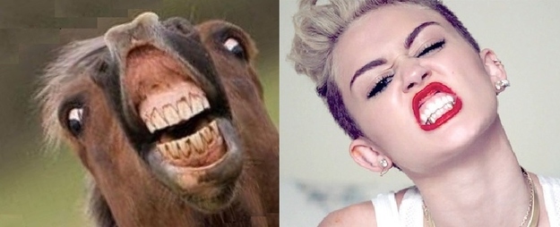 Horses VS Miley Cyrus  Nailed it 16