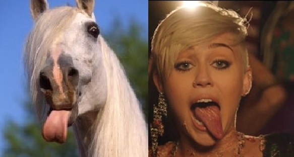 Horses VS Miley Cyrus  Nailed it 2
