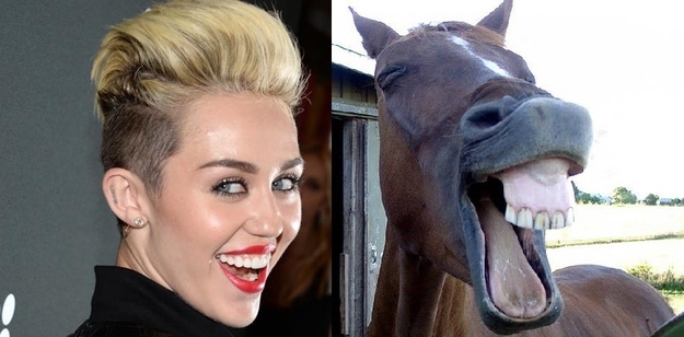 Horses VS Miley Cyrus  Nailed it 5