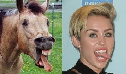 Horses VS Miley Cyrus  Nailed it 8