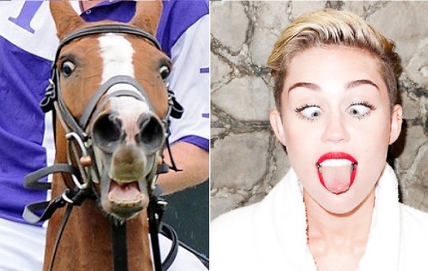 Horses VS Miley Cyrus  Nailed it 9