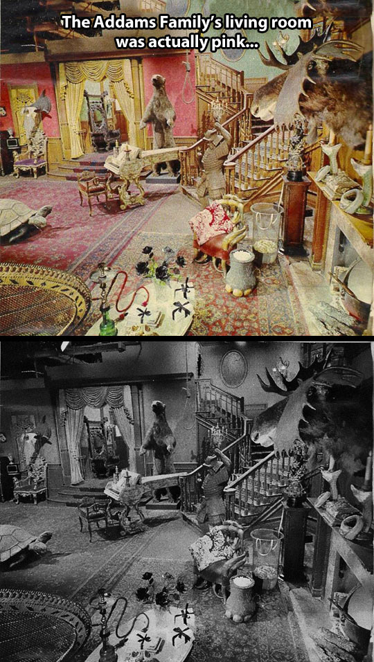 cool-Addams-Family-living-room-real