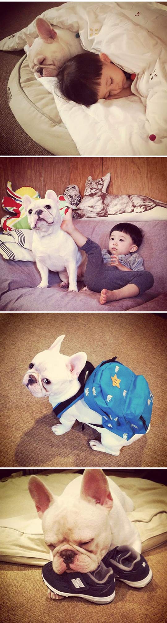 cool-Asian-kid-sleeping-dog