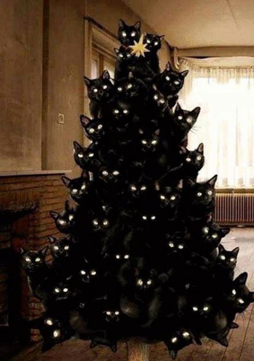 funny-Christmas-tree-black-cats