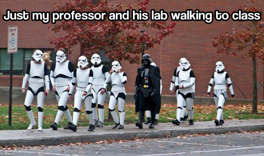 My professor and his lab…