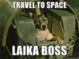 The first dog in space
