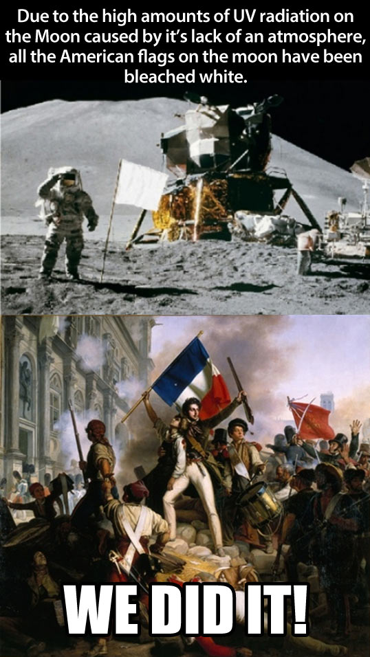 funny-Moon-flag-white-French-astronauts