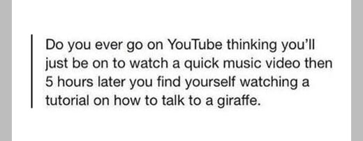funny-YouTube-music-video-quick