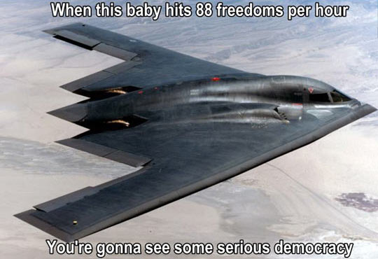 funny-army-USA-democracy-freedom1.jpg