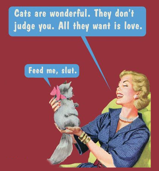 funny-cat-love-bow-food-illustration