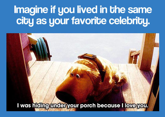 funny-dog-Up-porch-hiding-celebrity