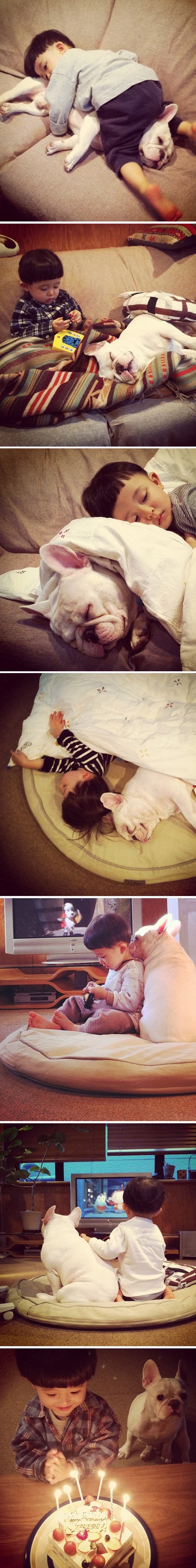 funny-dog-kid-best-friends-birthday