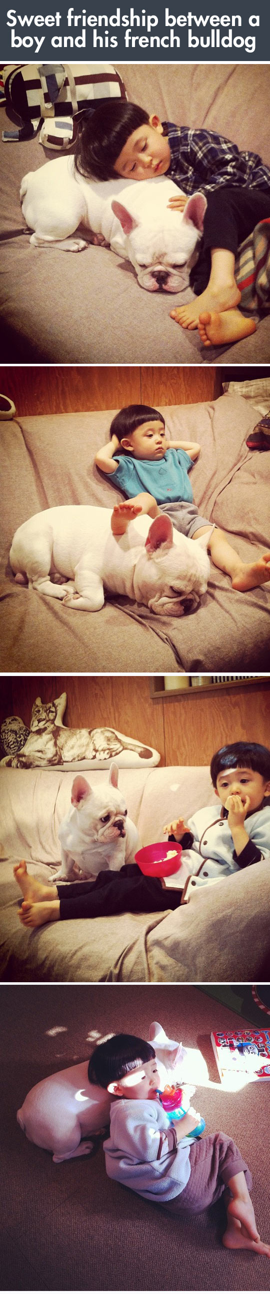 funny-dog-kid-best-friends-cute